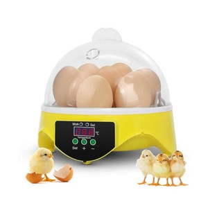 孵蛋器 7 个鸡蛋数字全自动孵化箱的鸡蛋 嗡嗡声 Ebay