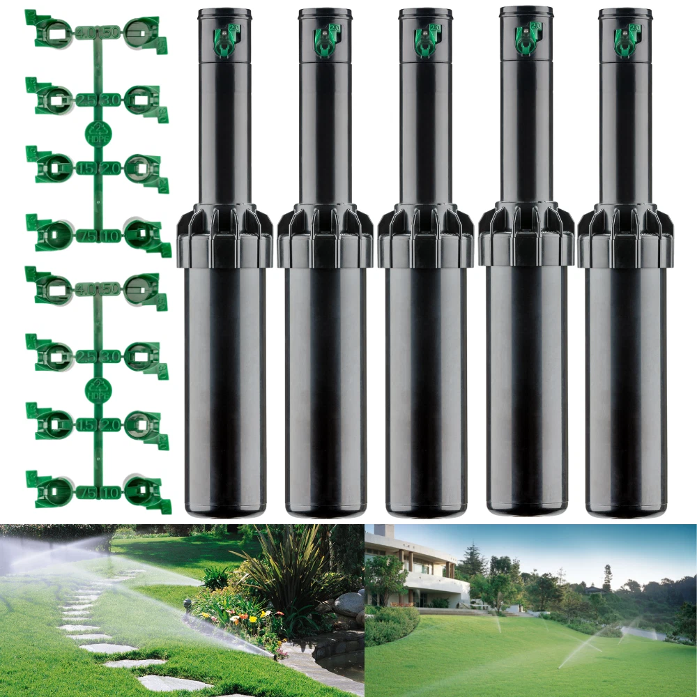 Cura Del Giardino E Del Balcone Per Proprietari D'abitazioni: Come Trasformare Lo Spazio Esterno In Un'oasi Verde | Swiss Life (Svizzera