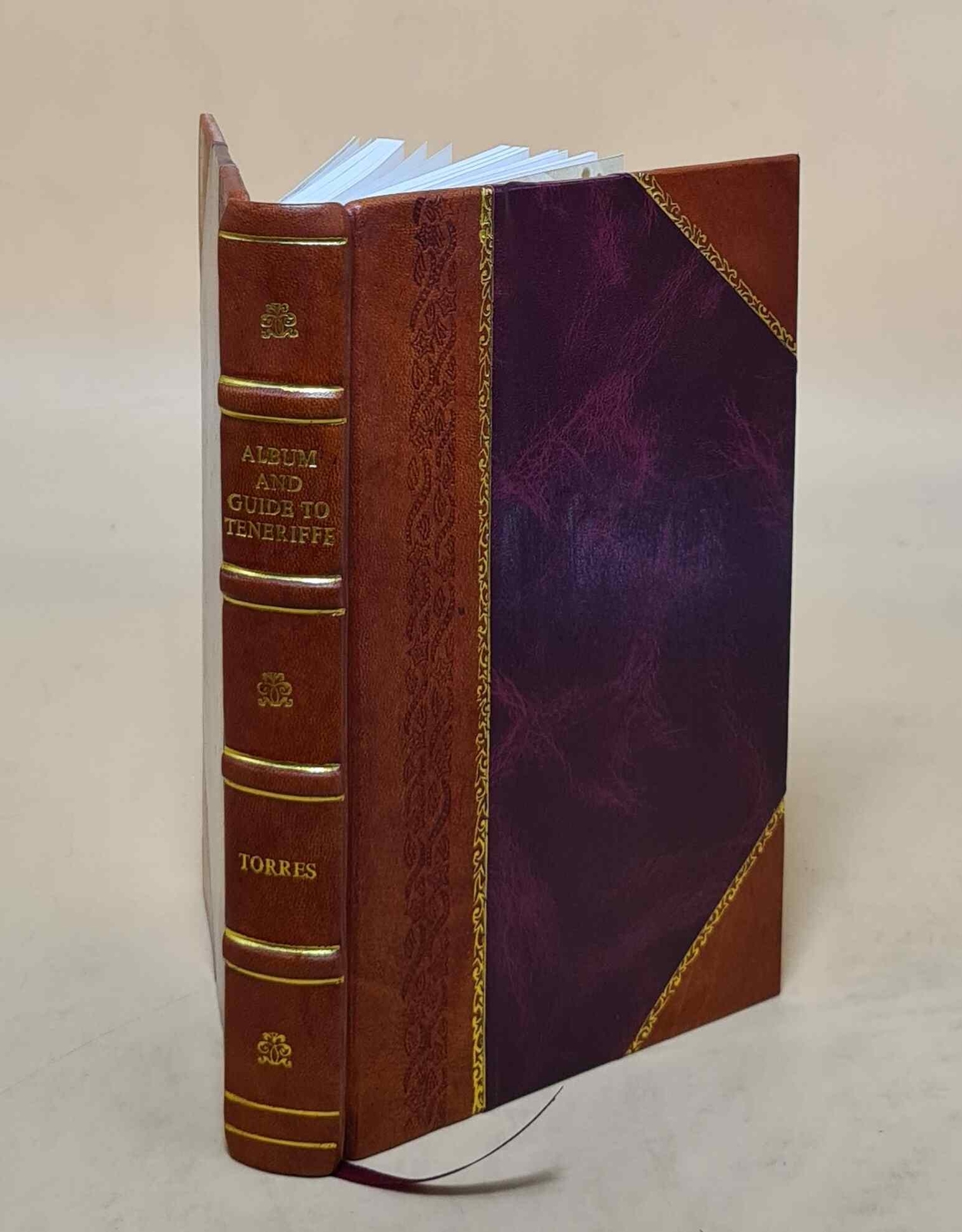 Album and Guide to Teneriffe Leather Bound Spanish Translation E M T 189