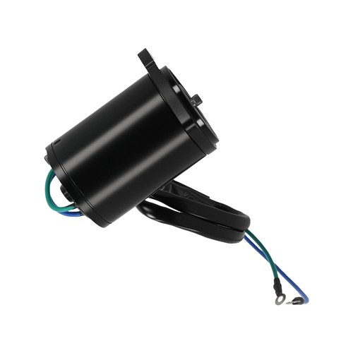 Tilt Trim Motor for Yamaha F50TLRB F50TLRC F50TLRZ 2001-2004 69W-43880-01-00 - Picture 2 of 12