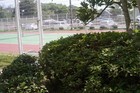 Picture 4 of 22