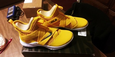 lebron soldier xii tb