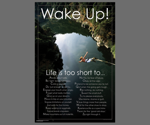 Bungee Jumping No Fear Motivational Poster 24x36 Inspirational Wall Art-image