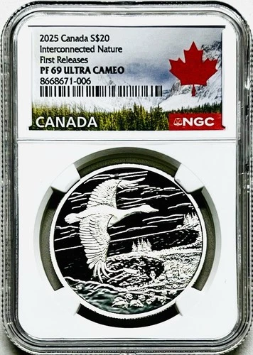 2025 $20 CANADA 1OZ SILVER FLYING GOOSE PROOF NGC PF69 UCAM FIRST RELEASE POP~10