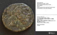 *Amisos, Pontos Ancient Greek Coin w/Description Card, Roman[E10546]7u4