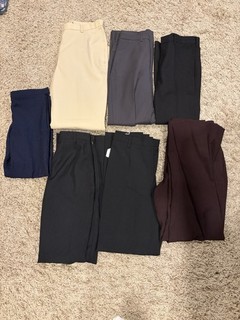Lot of Horse Show Pants Horse Show Pants Adult And Child Sizes