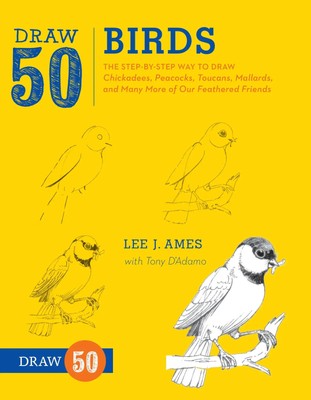 Draw 50 Birds | L. Ames | Englisch | Taschenbuch | Einband - flex.(Paperback)