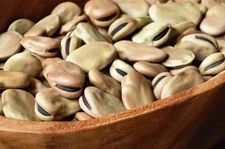 Dried Beans Healthy Meal Legumes Rich Nutrient One Organic Fava فول باجيلا كبير