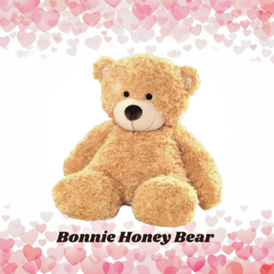 Aurora 9-inch Bonnie Honey Teddy Bear - Soft Plush Brown Bear With Smiley Face