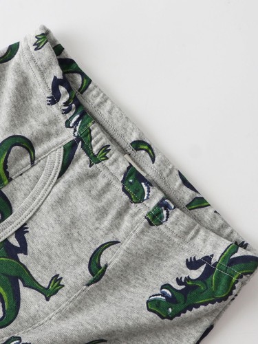6PCS Little Boys' Soft Cotton Boxer Briefs Toddler Kids Dinosaur Truck Underwear - Picture 9 of 45