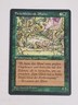 MTG Carnivorous Plant (German Renaissance (BB)/Green/C) - BGM