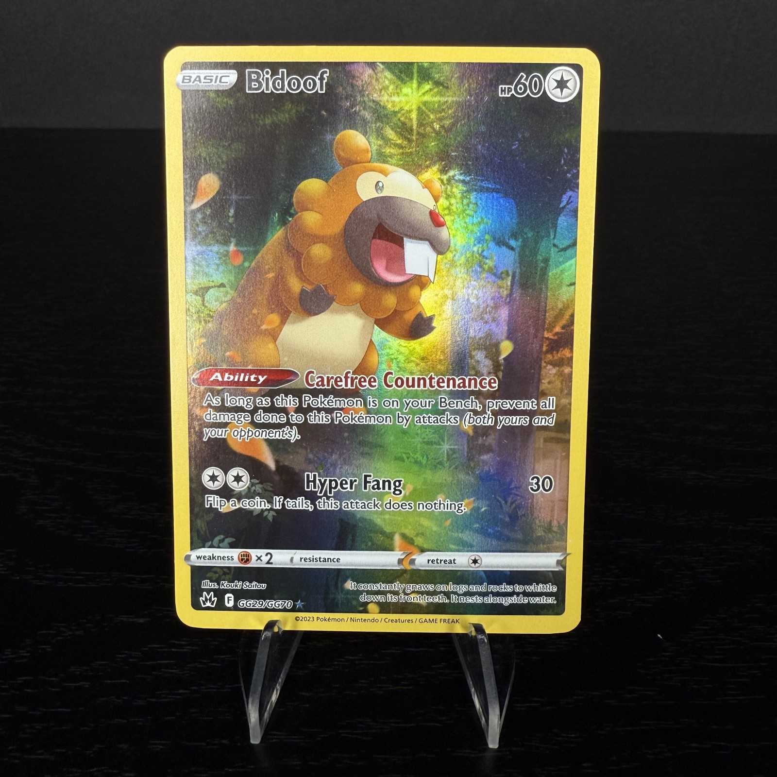 Bidoof #GG29/GG70 (Near Mint) Crown Zenith: Galarian Gallery Holo Pokemon Card