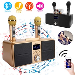 mic and speaker for singing