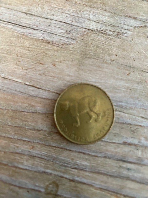 1988 South African 5 Cent Coin