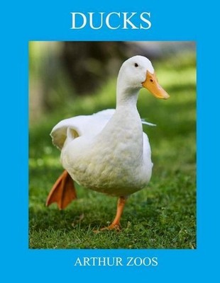 Ducks by Arthur Zoos (English) Paperback Book