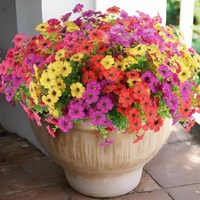 Artificial Daisy Flowers UV Resistant Faux Pl...