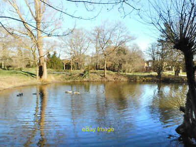 Photo 6x4 Pond at Totteridge Barnet A nice small pond with ducks and tree c2019