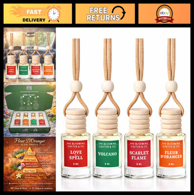 4 Pack Long Lasting Car Air Fresheners | Handmade USA | Small Room Diffuser - El