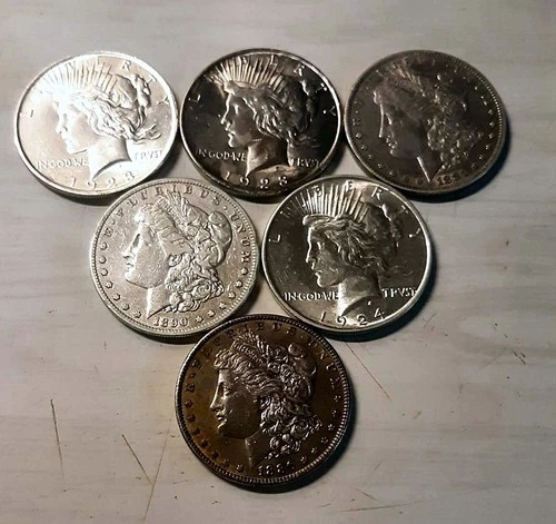 Lot of (6)  Good Looking 90% Silver Morgan/Peace Dollar Coin Coins