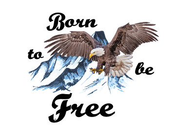 Adler Autoaufkleber/Wandtattoo Born To Be Free Personalisierbar  Wetterfest Top