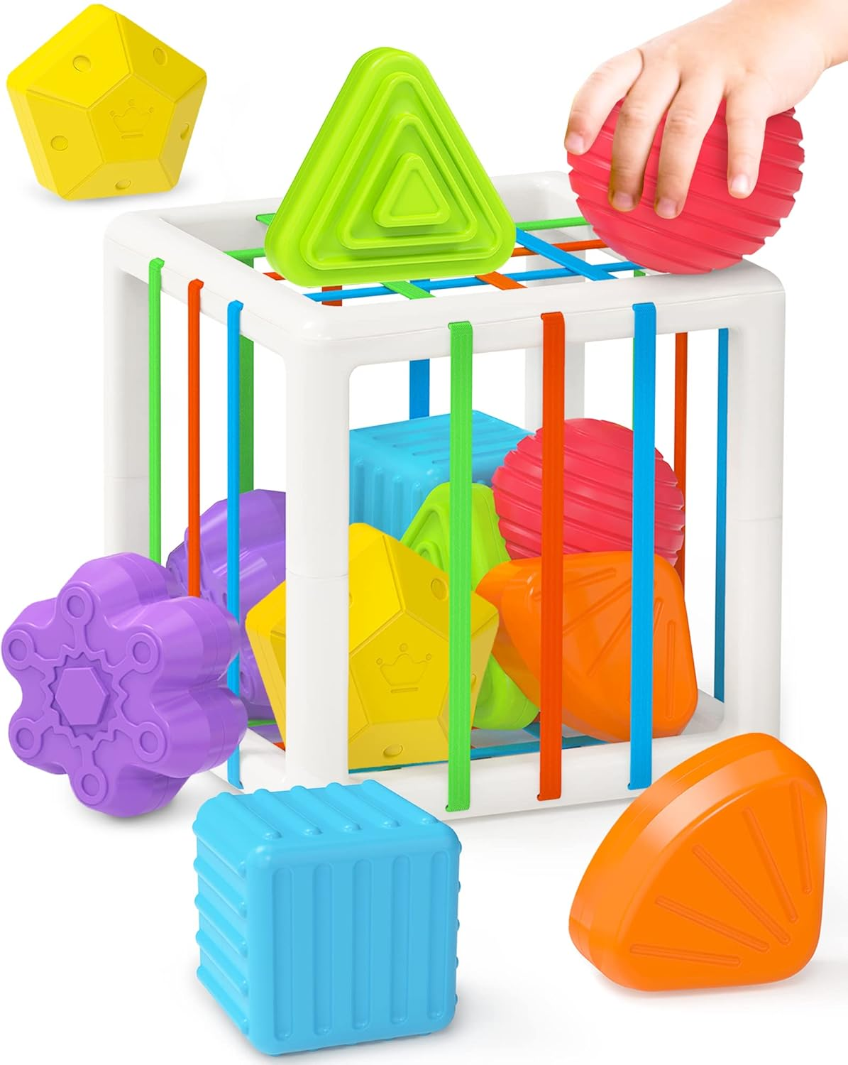 Montessori Toys for 1 Year Old Girls Boys, Baby Sorter Learning Sensory Activity