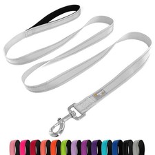 Dog Leash 6 FT Padded Handle Nylon Reflective Dogs Leashes for Large Dogs Silver