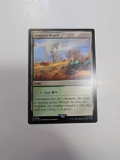 MTG - Sungrass Prairie - Fallout (PIP) NM/M Condition