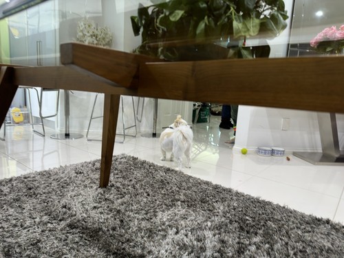 Modern 12 x Seater Glass Dinig Table with Wood Frame 2250mm x 850mm x 750mm VGC - Picture 7 of 19
