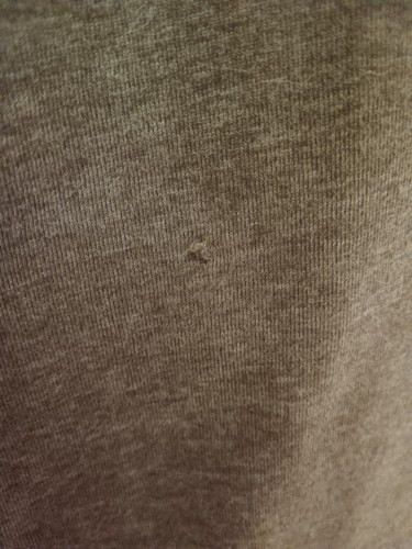 neue Jerseybluse SAMOON 95% Baumwolle Glitzer Braun Gr. 52/54 s. Maße unten! - Bild 6 von 6