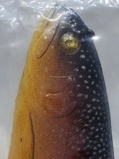 🇺🇲HUDDLESTON-VERY RARE LIMITED EDITION 8 INCH,CUSTOM PALOMINO TROUT ROF 12🏆💥