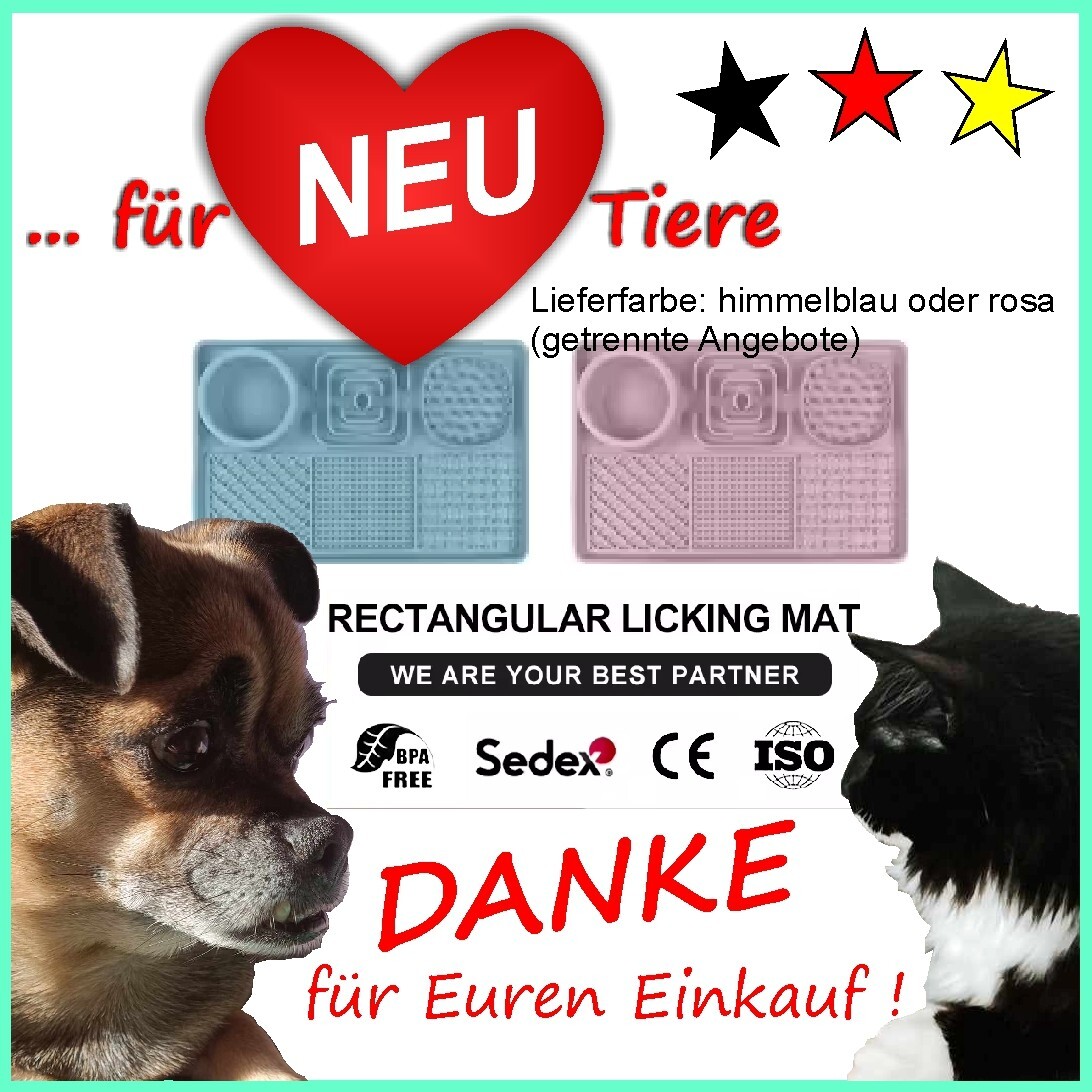 Bild 9 von 9