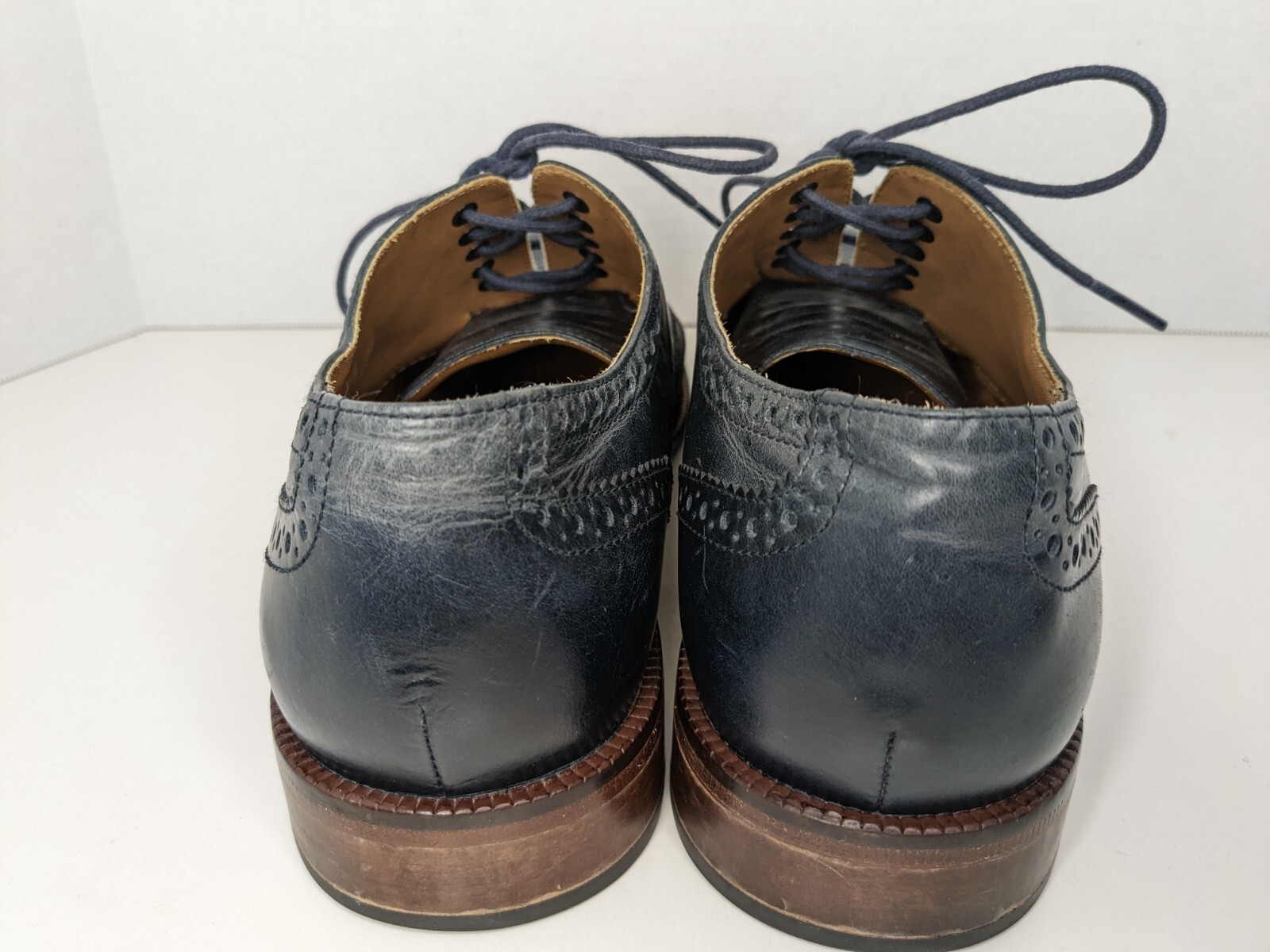 williams wingtip oxford