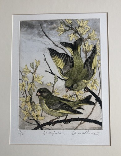 DAVID KOSTER 1926-2015 Limited Edition ETCHING "Greenfinches" 7/50