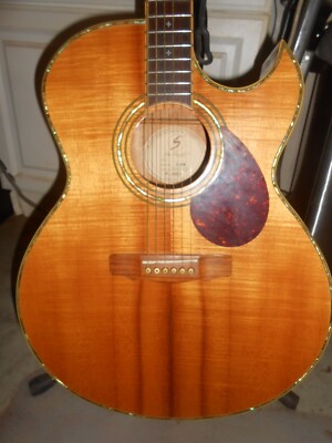 ギター Samick Greg Bennett D-12CE Ed Roman Guitars