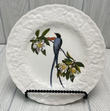 Alfred Meakin Audubon Birds of America Plate #168 Fork-Tailed Flycatcher