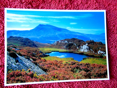 P291 MOEL SIABOD AND LLYN Y COYN WALES COLOUR POSTCARD [536]