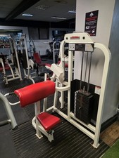 Life Fitness Pro 1 Bicep Curl Machine Commercial Gym Equipment