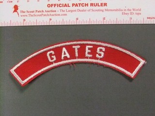 Boy Scout Gates RWS Community Strip Oregon Tennessee New York 9784PP