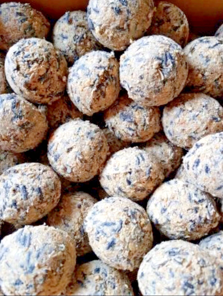 GEVO- Meisenknödel, ohne Netz ,100 Stück , á 90 g Premium Qualität!