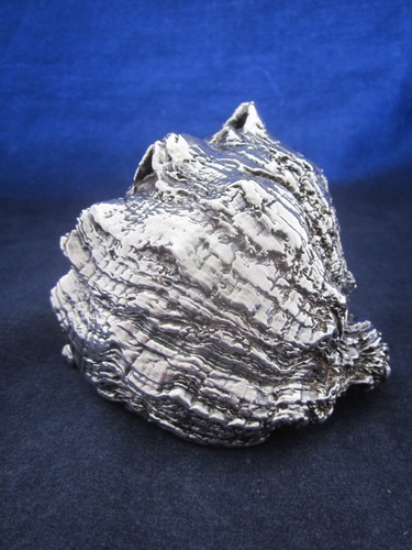 Silverplate Conch Seashell Shell EXCELLENT - Picture 5 of 7