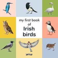 My First Book Of Irish Birds - Board Book - G245Z