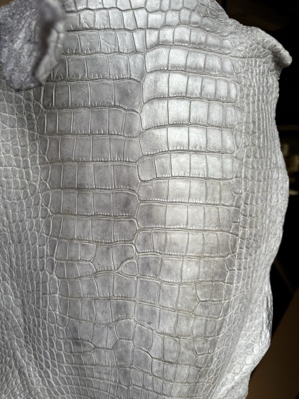 Wild Alligator Gator Belly Leather Professionally Tanned In gray
