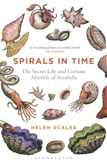 Spirals in Time: The Secret Life and Curious by Helen Scales (PB 2016) - Image 3