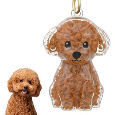 Dog Hair Collector Keychain, Memorial Storage Box Dog Hair Memorial Keepsake ...