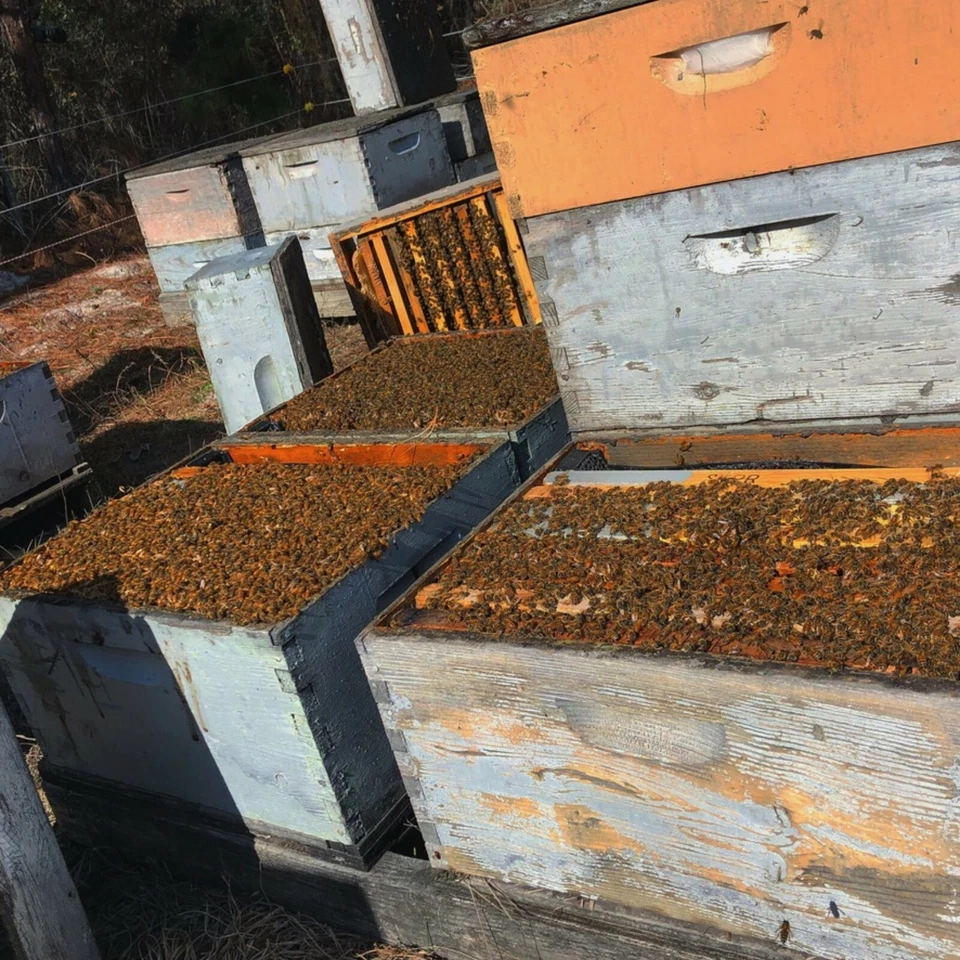 10 Pound 100% Natural American Beeswax Block Made By Our Bees - Image 3 of 4