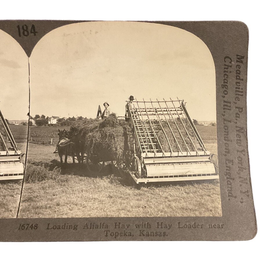 Topeka KS Horse Drawn Alfalfa Hay Loader Kansas c1920 Keystone 16748