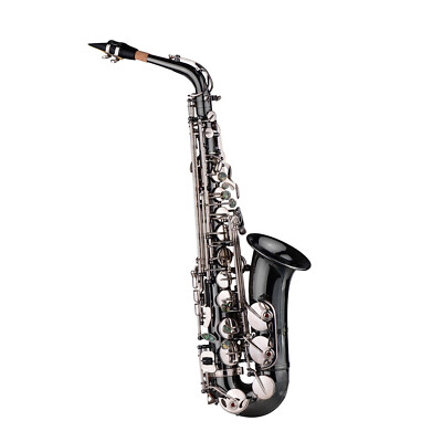 Professional Eb E-flat Saxophone Brass Black Nickel Plating Alto