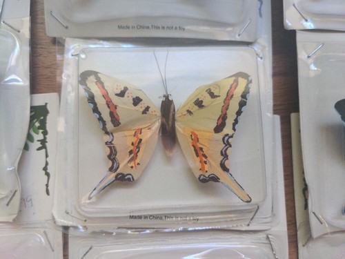 Enorme lotto artigianale 21 confezioni vintage Nature's Bounty Feather Butterfly NOS blu rosa - Foto 7 di 13