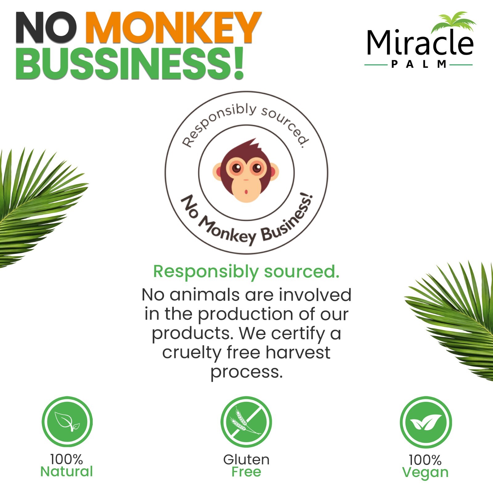 Miracle Palm Organic Coconut Milk Unsweetened - Canned Additive Free Pack of 6