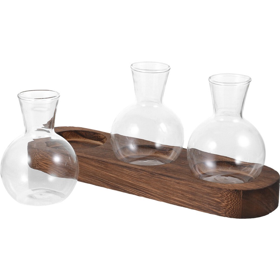 Hydroponic Glass Flower Vase Terrarium Plant Propagation Station Plants